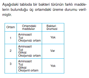 canlilarinsiniflandirilmasikonutesti8002