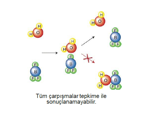 carpisma