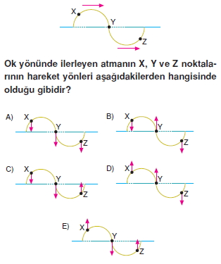 dalgalarcozumlutest1001