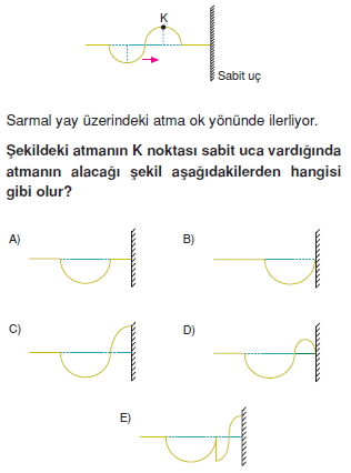 dalgalarcozumlutest1005