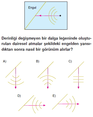 dalgalarkonutesti2002