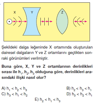 dalgalarkonutesti2010