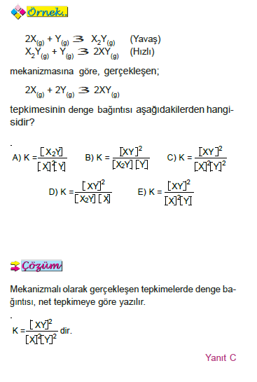 denge_bagintilari_çözümlü_test