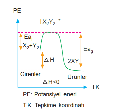 ekzotermik_tepkime