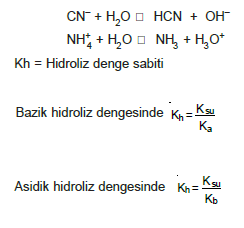 hidroliz_denge