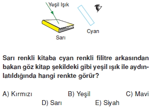isiginkirilmasiverenklenmetest2002