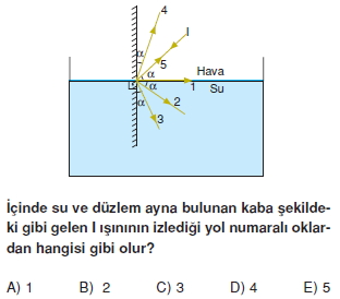 isiginkirilmasiverenklenmetest2006