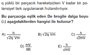 isikteorilericozumlutest1006