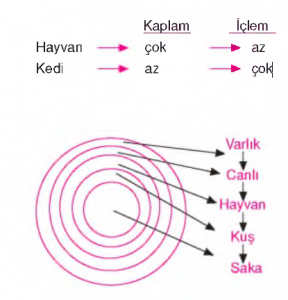 kaplam iclem