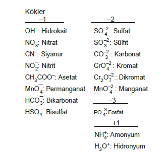 kokler