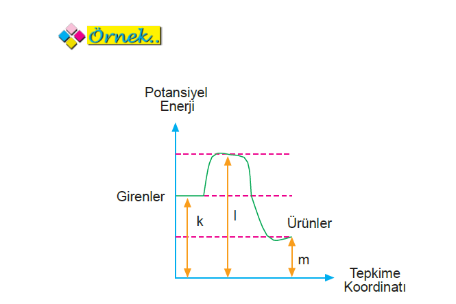 ornek_resmi