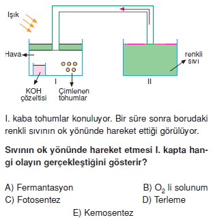 Solunum Cozumlu Test 1 Bilgicik Com Bilgicik Com