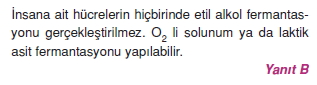 solunumcözümlütest1 (14)