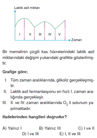 solunumcözümlütest1 (4)