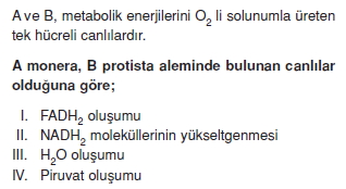 solunumcözümlütest1 (5)