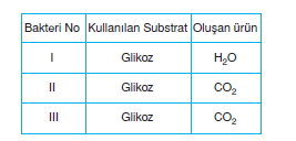 solunumcözümlütest1 (7)