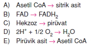 solunumcözümlütest1 (8)