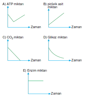 solunumcözümlütest2 (12)