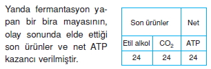 solunumcözümlütest2 (2)