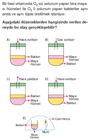 solunumcözümlütest2 (3)