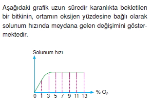 solunumcözümlütest2 (4)