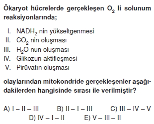 solunumcözümlütest2 (8)