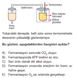 solunumcözümlütest2