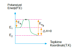 tepkime_kordinati