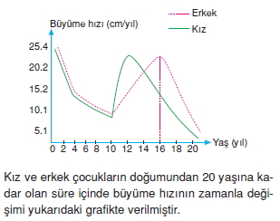 Üremevegelismecözümlütest1004