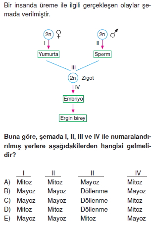 Üremevegelismekonutesti2002