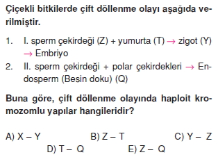 Üremevegelismekonutesti2004