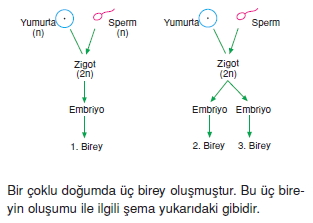 Üremevegelismekonutesti4001