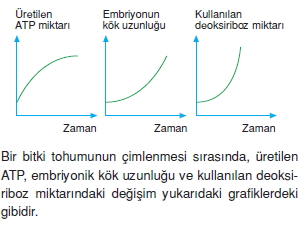 Üremevegelismekonutesti4003