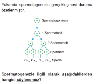 Üremevegelismekonutesti5008