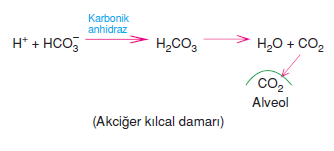 Co2 yazımı