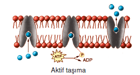 Aktif_Tasima