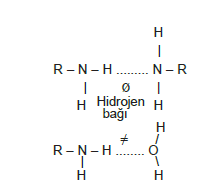 Aminlerin_Özellikleri