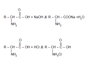 Amino_Asitlerin_Fiziksel_ve_Kimyasal_ozellikleri