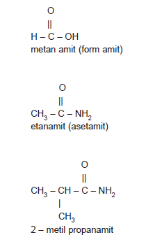 Amitlerin_Adlandirilmasi