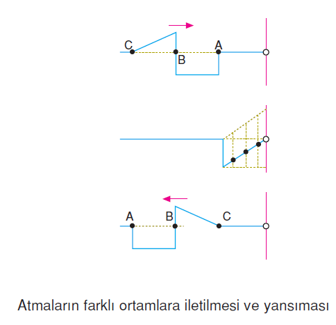 Atmalarin_farkli_ortamlara_iletilmesi