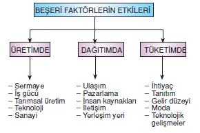 Beseri_faktorler