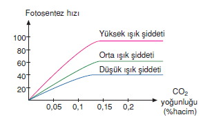 CO2_Miktari_ve_isik_siddeti