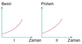 Canlilardaüremebüyümevegelismecözümlütest1003