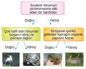 Canlilardaüremebüyümevegelismecözümlütest1007