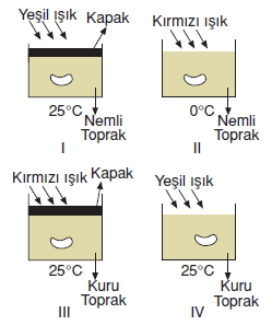 Canlilardaüremebüyümevegelismecözümlütest1009