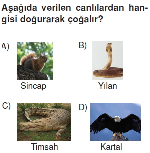 Canlilardaüremebüyümevegelismecözümlütest1010