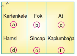 Canlilardaüremebüyümevegelismecözümlütest1012