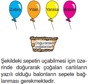 Canlilardaüremebüyümevegelismecözümlütest1013