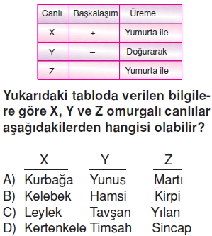 Canlilardaüremebüyümevegelismecözümlütest1015