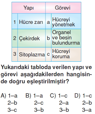 Canlilardaüremebüyümevegelismekonutesti1003